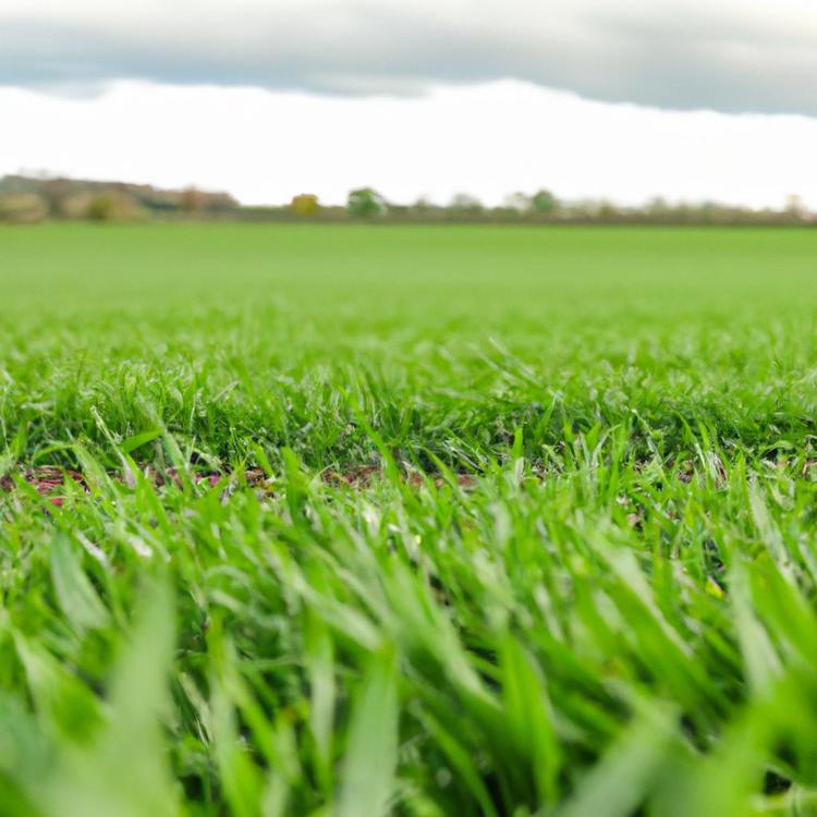 Ile kosztuje hektar ziemi rolnej?